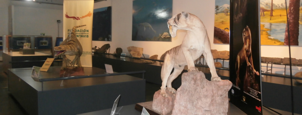 Visita regular al museo